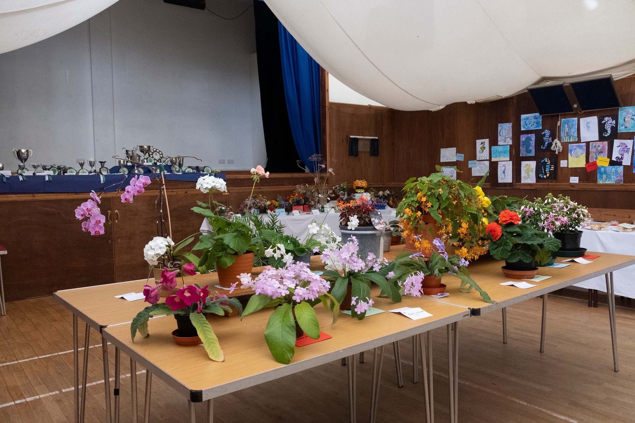 384305456_726832296151002_1197394242876818997_n